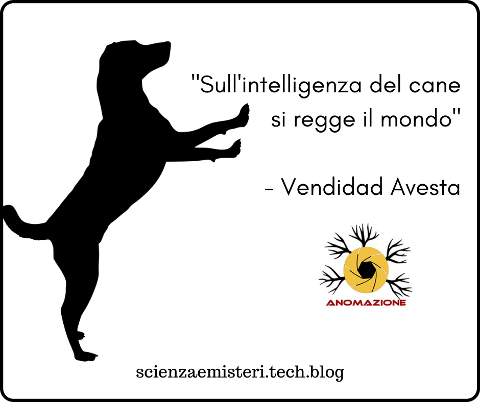 Sull'intelligenza del cane si regge il mondo - Vendidad Avesta