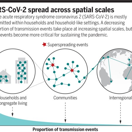 Diffusione sars-cov-2