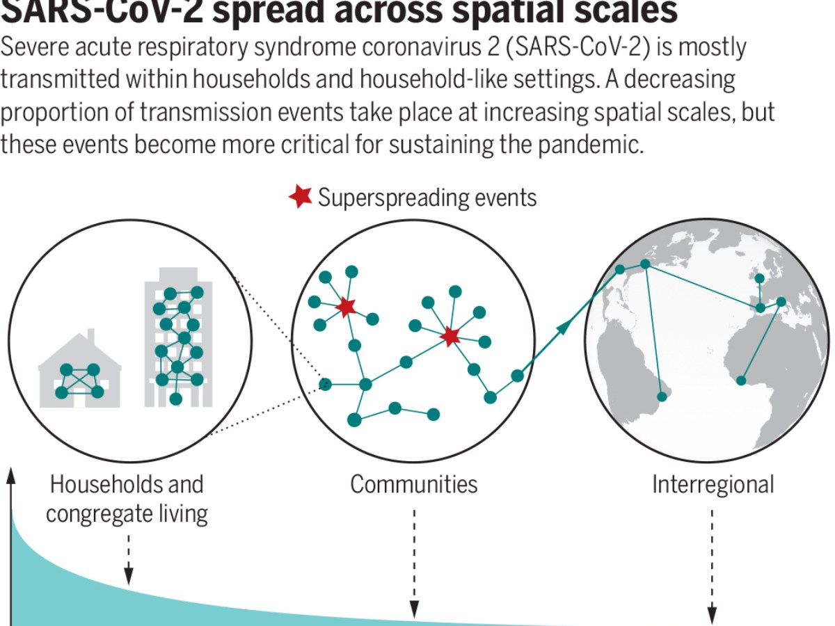 I mononeuroni negazionisti: benzina per il motore di SARS-CoV-2