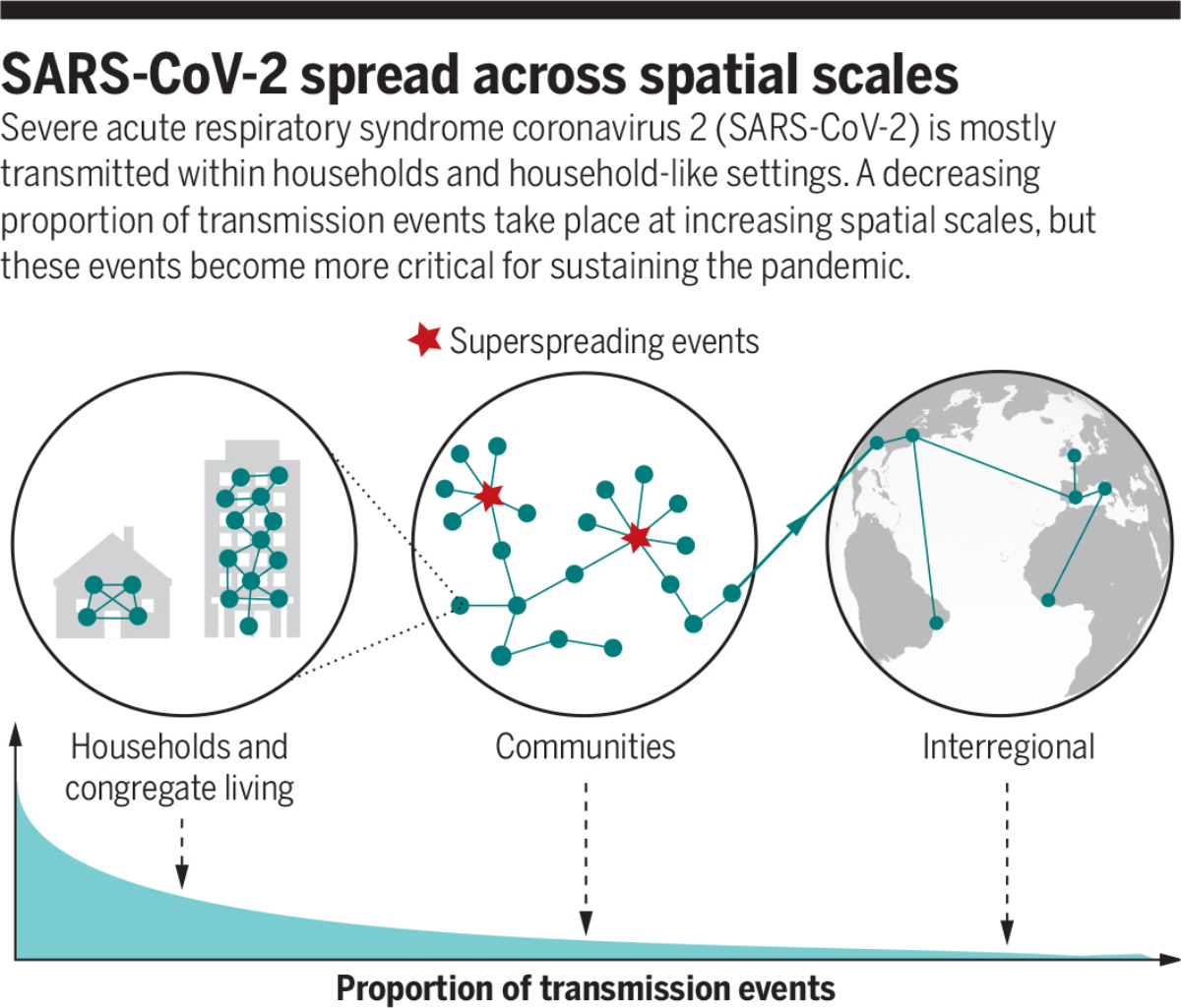 I mononeuroni negazionisti: benzina per il motore di SARS-CoV-2